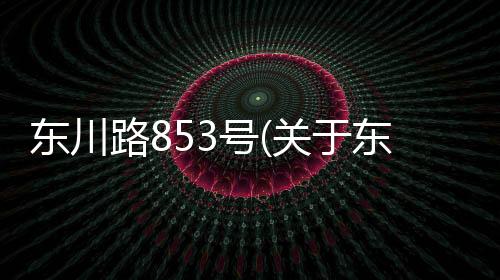 東川路853號(關于東川路853號簡述)