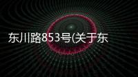 東川路853號(關(guān)于東川路853號簡述)
