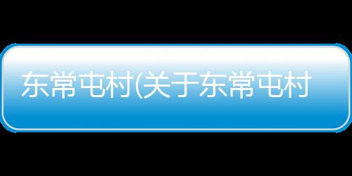 東常屯村(關于東常屯村簡述)