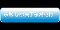 東常屯村(關(guān)于東常屯村簡(jiǎn)述)