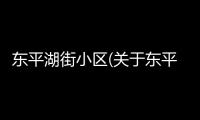 東平湖街小區(qū)(關(guān)于東平湖街小區(qū)簡述)