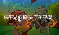 東平湖麻鴨(關(guān)于東平湖麻鴨簡述)