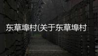 東草埠村(關于東草埠村簡述)