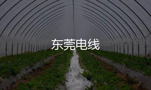東莞電線