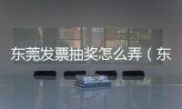 東莞發(fā)票抽獎怎么弄（東莞發(fā)票）