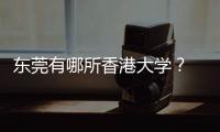東莞有哪所香港大學(xué)？ 香港大學(xué)2023本科申請(qǐng)