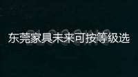 東莞家具未來可按等級選購