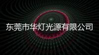 東莞市華燈光源有限公司(關于東莞市華燈光源有限公司簡述)