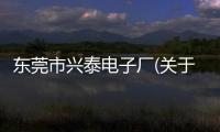 東莞市興泰電子廠(關于東莞市興泰電子廠簡述)