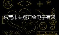 東莞市共翔五金電子有限公司(關于東莞市共翔五金電子有限公司簡述)
