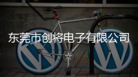 東莞市創(chuàng)將電子有限公司(關(guān)于東莞市創(chuàng)將電子有限公司簡(jiǎn)述)