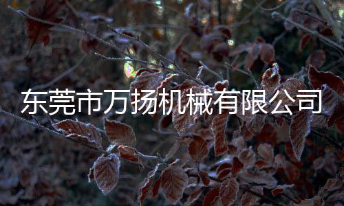 東莞市萬揚機械有限公司(關于東莞市萬揚機械有限公司簡述)