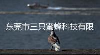 東莞市三只蜜蜂科技有限公司(關于東莞市三只蜜蜂科技有限公司簡述)