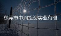 東莞市中潤投資實業有限公司(關于東莞市中潤投資實業有限公司簡述)