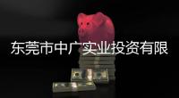 東莞市中廣實(shí)業(yè)投資有限公司(關(guān)于東莞市中廣實(shí)業(yè)投資有限公司簡(jiǎn)述)