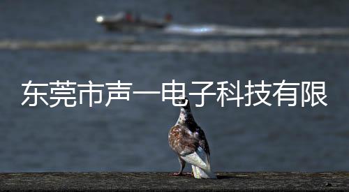 東莞市聲一電子科技有限公司(關于東莞市聲一電子科技有限公司簡述)