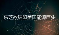 東芝欲結盟美國能源巨頭 共同開發火電業務