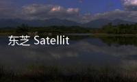 東芝 Satellite X205