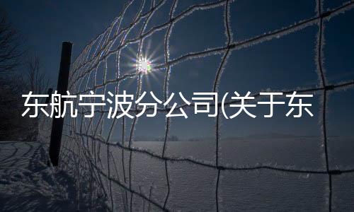 東航寧波分公司(關于東航寧波分公司簡述)