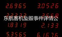 東航客機墜毀事件詳情公布：尚未發現MU5735幸存人員