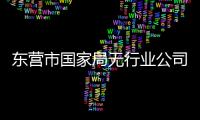 東營市國家局無行業公司名字辦理