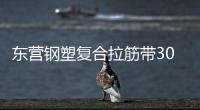 東營鋼塑復(fù)合拉筋帶30020C價格