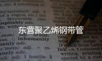 東營(yíng)聚乙烯鋼帶管