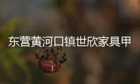 東營黃河口鎮世欣家具甲醛超標 疑似新生兒得肺炎系誘因