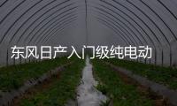 東風日產入門級純電動 售價大幅下調