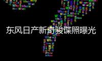 東風日產新奇駿諜照曝光 外觀內飾均改動