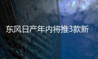 東風日產年內將推3款新車 含兩款新能源車型