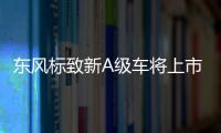 東風標致新A級車將上市 軸距超全新寶來