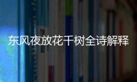 東風(fēng)夜放花千樹全詩解釋（東風(fēng)夜放花千樹全詩）