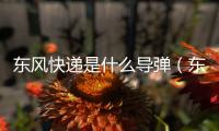 東風快遞是什么導彈（東風快遞是什么）