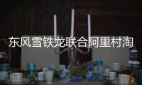 東風(fēng)雪鐵龍聯(lián)合阿里村淘賣車