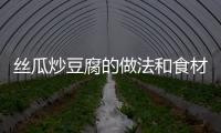 絲瓜炒豆腐的做法和食材用料及健康功效