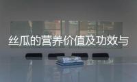 絲瓜的營(yíng)養(yǎng)價(jià)值及功效與作用