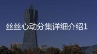 絲絲心動(dòng)分集詳細(xì)介紹11