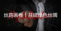絲路畫卷丨共建綠色絲綢之路 推進全球可持續發展