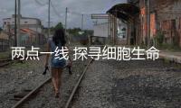 兩點一線 探尋細胞生命的“年輕因子”