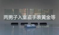 兩男子入室盜手表黃金等財(cái)物 稱(chēng)要撈一把過(guò)年