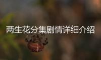 兩生花分集劇情詳細介紹(1