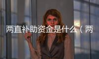 兩直補助資金是什么（兩直補助是什么）