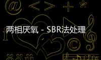 兩相厭氧－SBR法處理啤酒廢水工程實踐