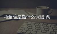 兩全險是指什么保險 兩全險是什么險種的