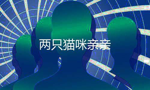 兩只貓咪親親