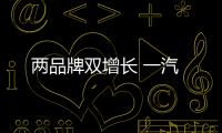 兩品牌雙增長 一汽