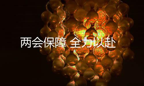 兩會保障 全力以赴