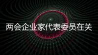 兩會企業家代表委員在關心什么？