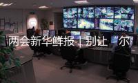 兩會新華鮮報｜別讓“爾濱”們變曇花，代表委員呼吁文旅IP繁花常在